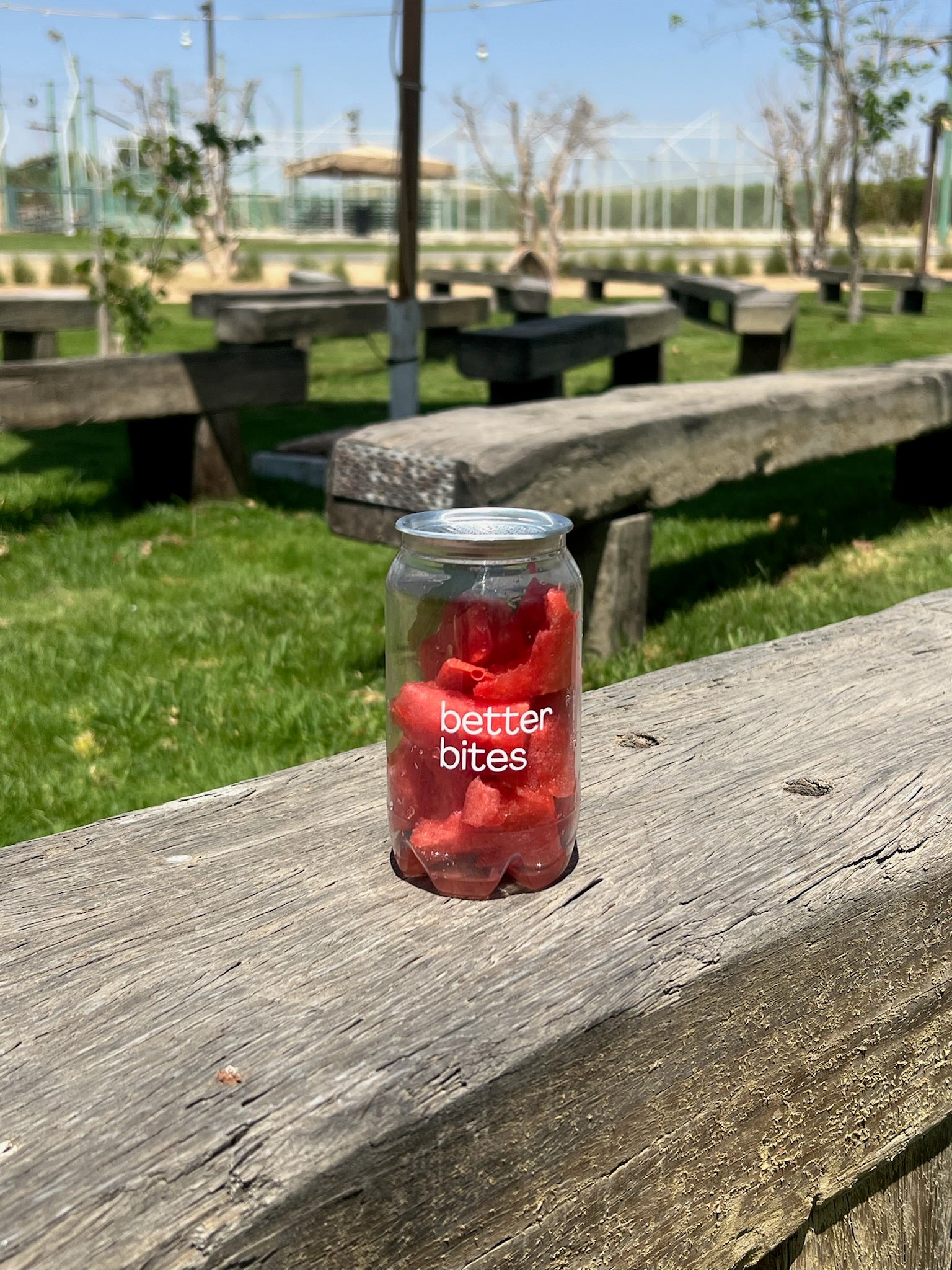 Watermelon mint bites